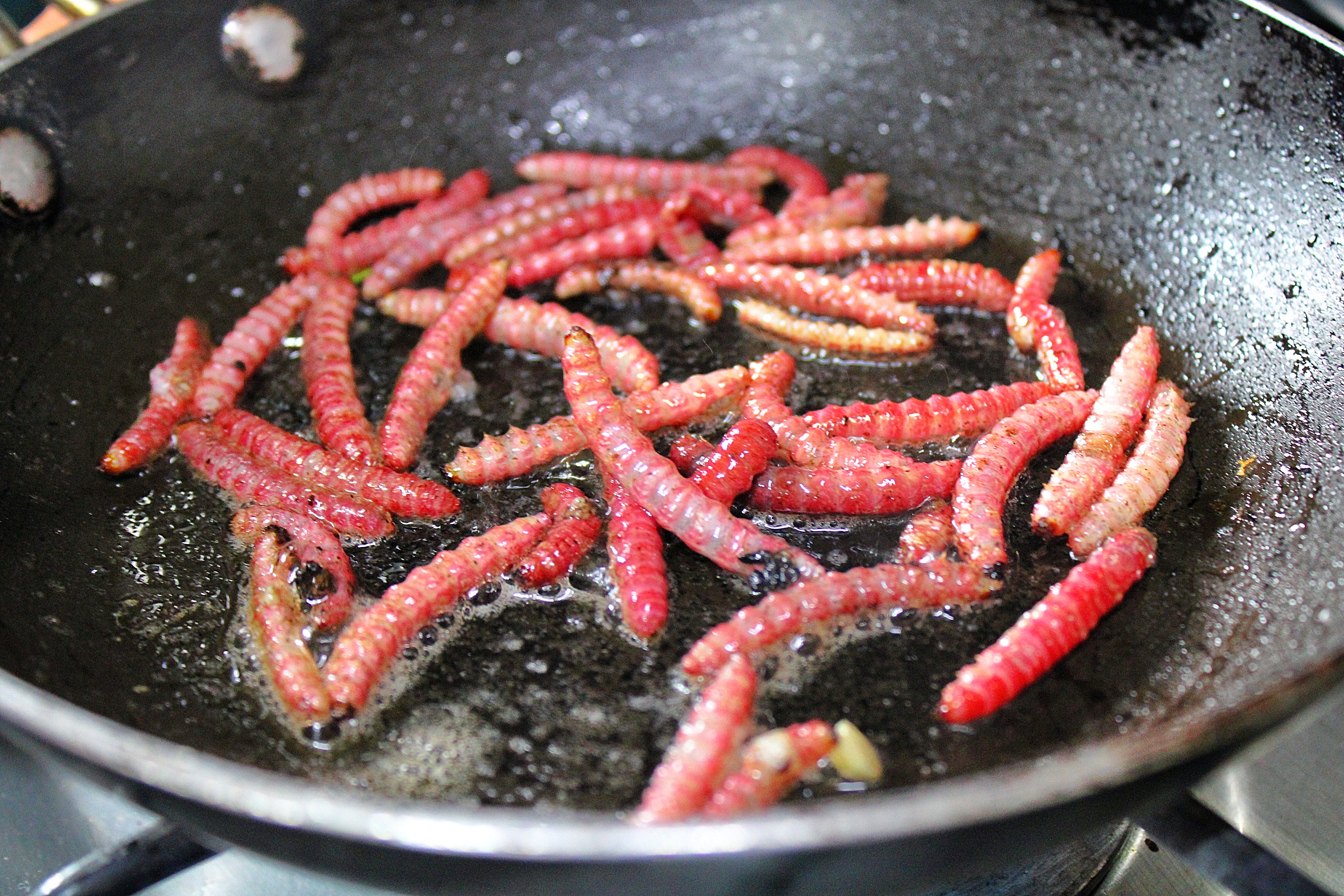 Worms frying in a pan.