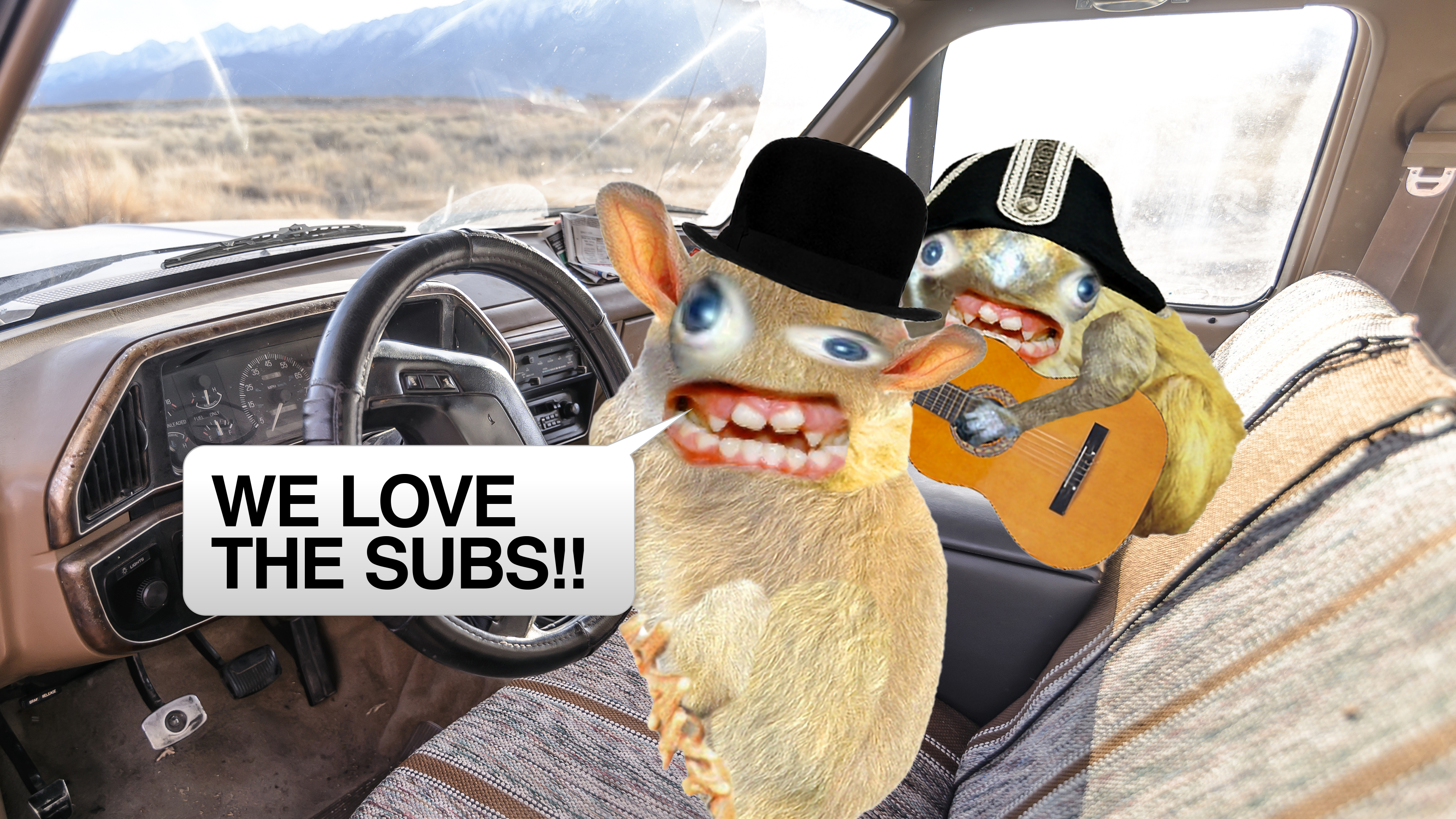 Two Spongmonkeys sit in a car wearing hats. One strums a guitar, while the other sings “We love the subs!!!”