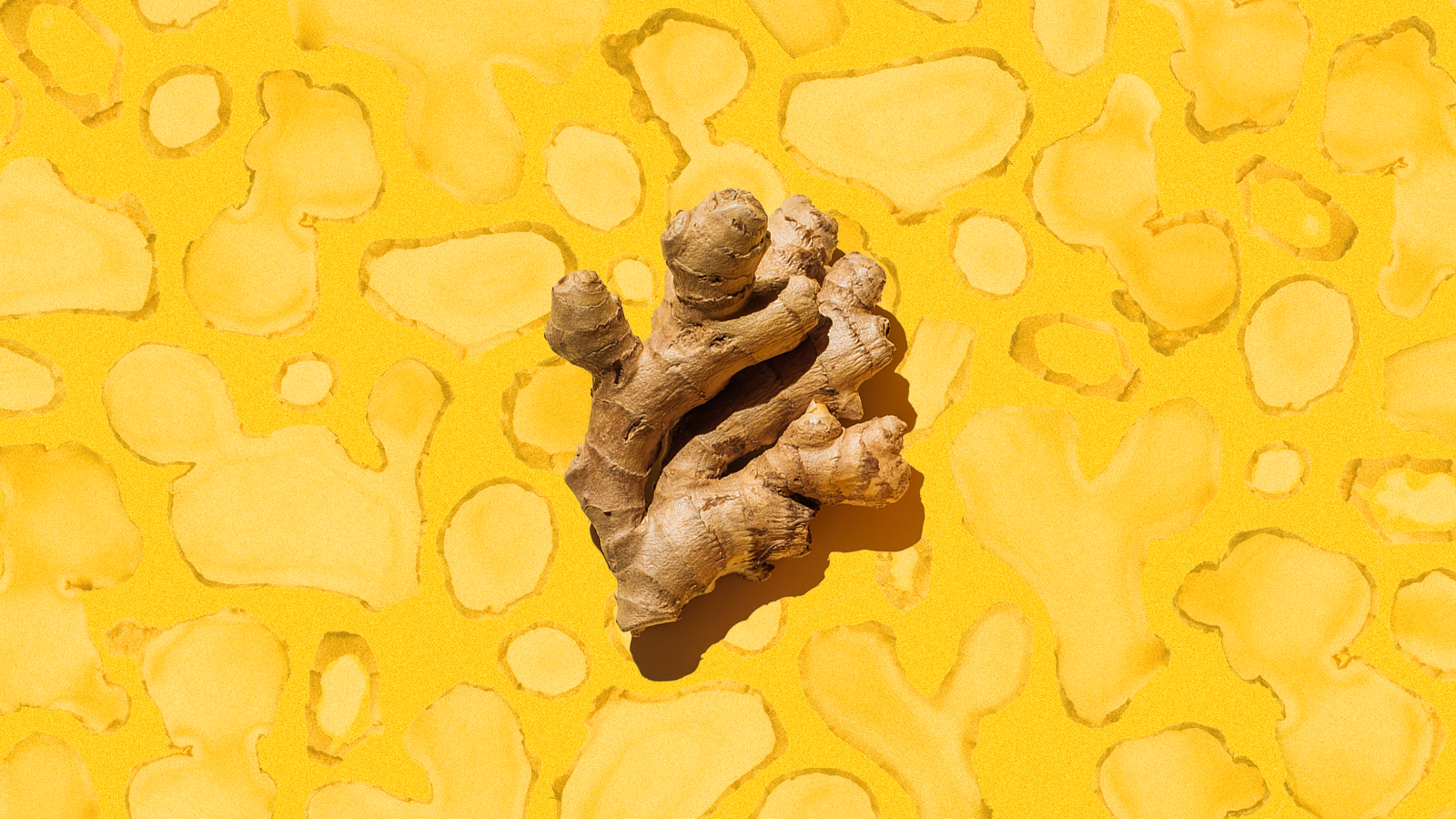 A ginger root on an illustrated backdrop of sliced ginger. 